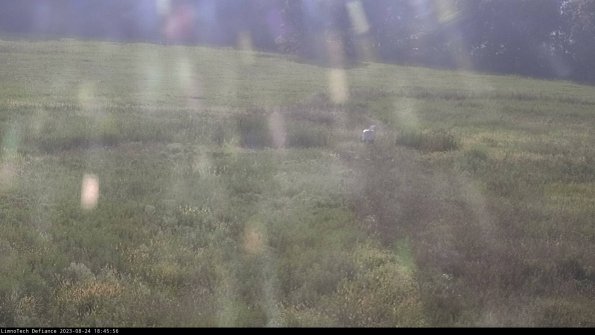 Cell 1 to 2_23-08-24_18-45-56-89