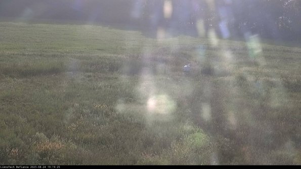 Cell 1 to 2_23-08-24_19-19-25-87