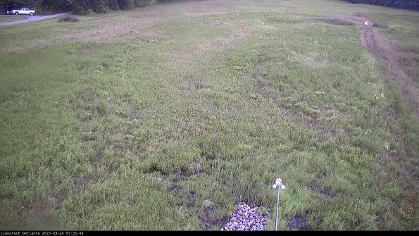 Cell 1_23-08-24_07-35-48-86