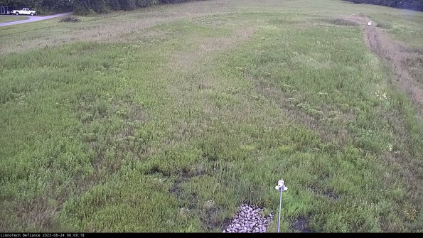 Cell 1_23-08-24_08-09-18-87