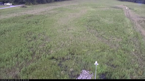 Cell 1_23-08-24_08-42-48-86