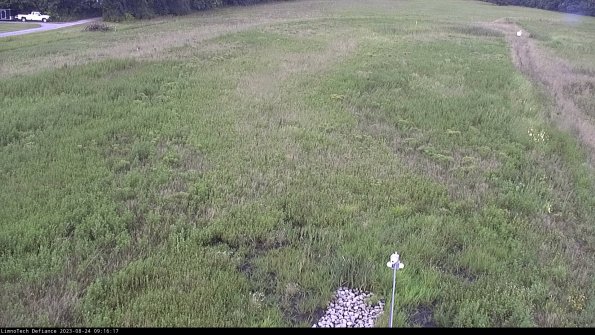 Cell 1_23-08-24_09-16-17-88