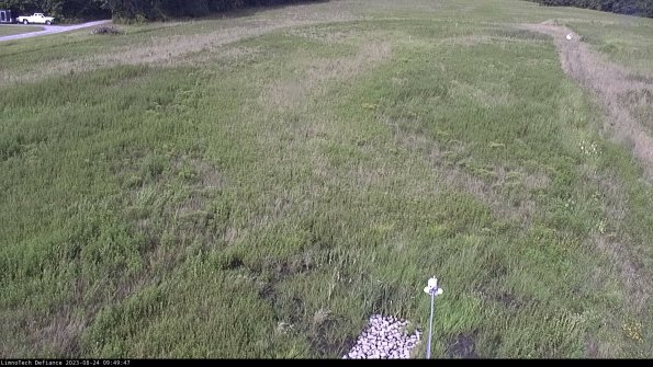 Cell 1_23-08-24_09-49-47-87