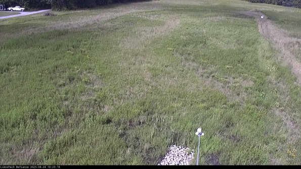 Cell 1_23-08-24_10-23-18-86