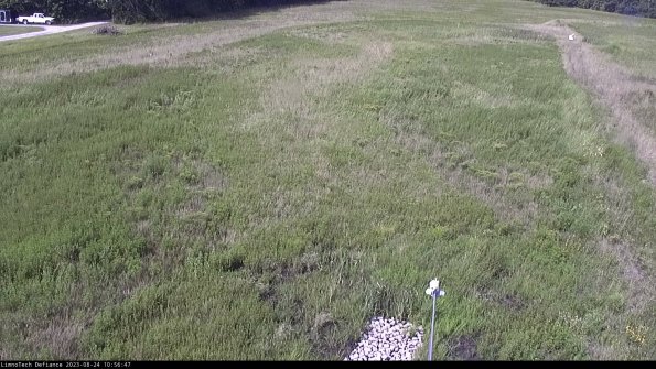 Cell 1_23-08-24_10-56-47-88