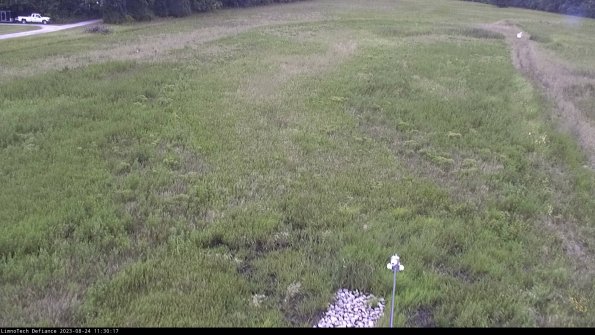 Cell 1_23-08-24_11-30-17-86