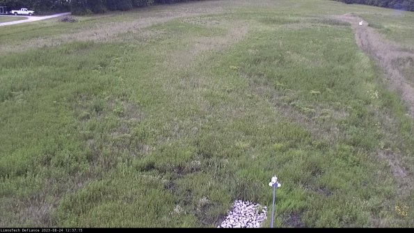 Cell 1_23-08-24_12-37-15-87