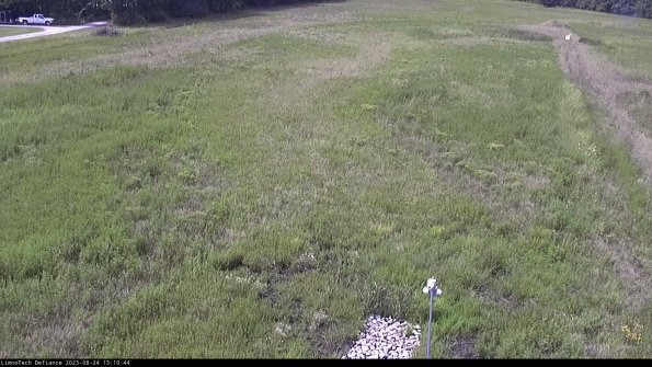 Cell 1_23-08-24_13-10-44-85