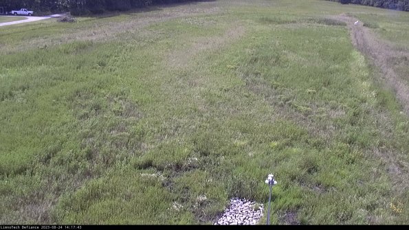 Cell 1_23-08-24_14-17-43-89