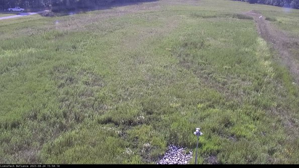 Cell 1_23-08-24_15-58-14-85