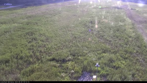 Cell 1_23-08-24_18-12-12-86