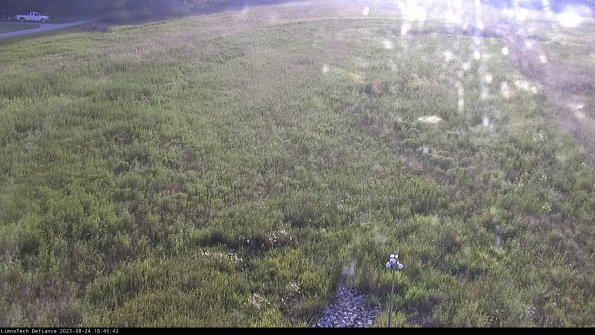 Cell 1_23-08-24_18-45-42-88