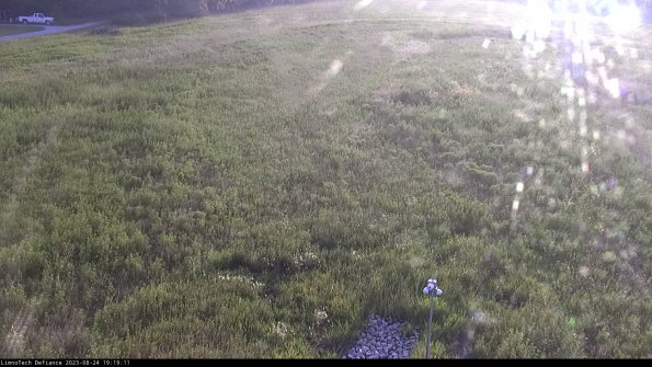 Cell 1_23-08-24_19-19-11-89