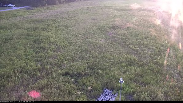 Cell 1_23-08-24_19-52-41-88