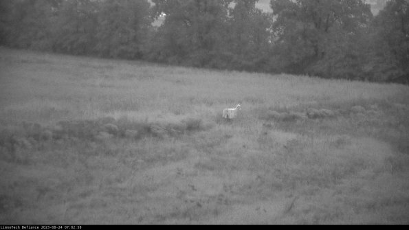 Cell 2 to 3_23-08-24_07-02-58-87