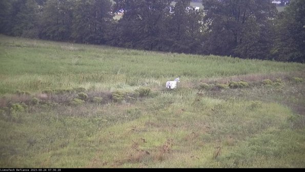 Cell 2 to 3_23-08-24_07-36-29-13