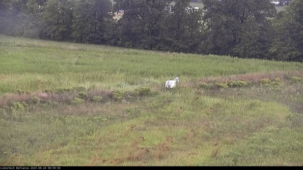 Cell 2 to 3_23-08-24_08-09-59-01