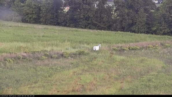 Cell 2 to 3_23-08-24_08-43-28-90