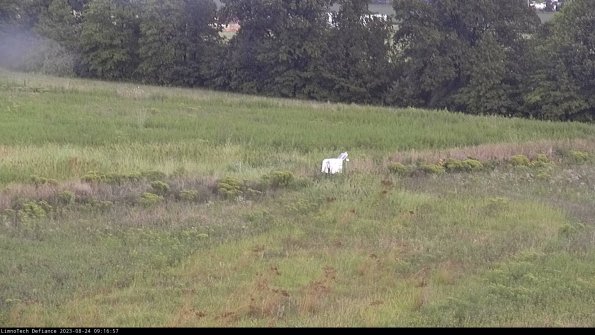 Cell 2 to 3_23-08-24_09-16-58-09