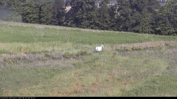 Cell 2 to 3_23-08-24_09-50-28-11