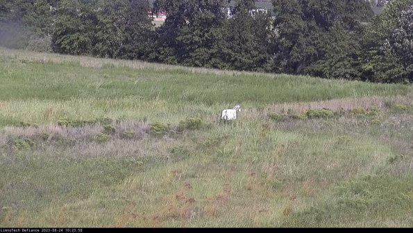 Cell 2 to 3_23-08-24_10-23-58-96