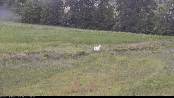 Cell 2 to 3_23-08-24_11-30-57-90