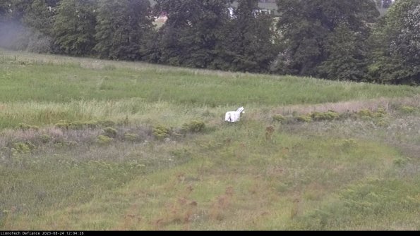 Cell 2 to 3_23-08-24_12-04-27-09