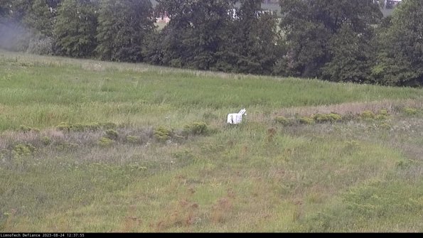 Cell 2 to 3_23-08-24_12-37-56-01