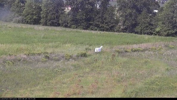 Cell 2 to 3_23-08-24_13-11-25-03