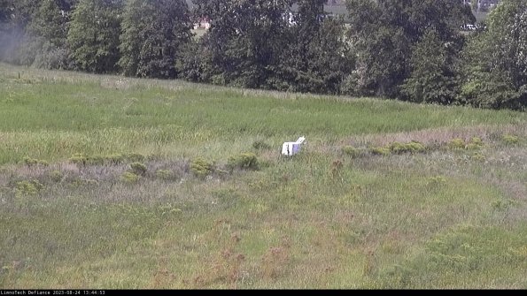 Cell 2 to 3_23-08-24_13-44-54-01