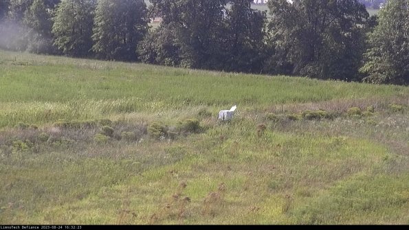 Cell 2 to 3_23-08-24_16-32-23-98