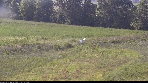 Cell 2 to 3_23-08-24_17-05-54-10