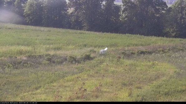 Cell 2 to 3_23-08-24_17-39-23-98