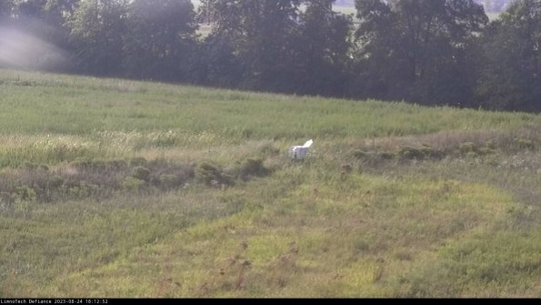 Cell 2 to 3_23-08-24_18-12-52-96