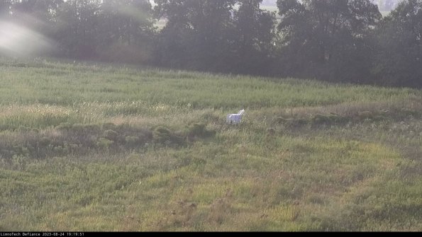 Cell 2 to 3_23-08-24_19-19-52-00