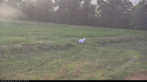 Cell 2 to 3_23-08-24_19-53-21-99