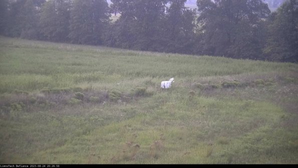 Cell 2 to 3_23-08-24_20-26-51-04