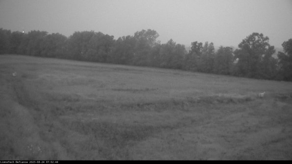 Cell 2_23-08-24_07-02-45-06