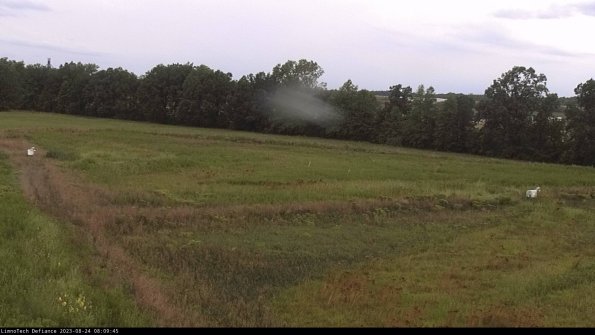 Cell 2_23-08-24_08-09-45-90