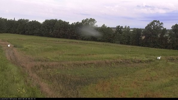 Cell 2_23-08-24_08-43-15-89