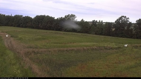 Cell 2_23-08-24_09-16-44-97