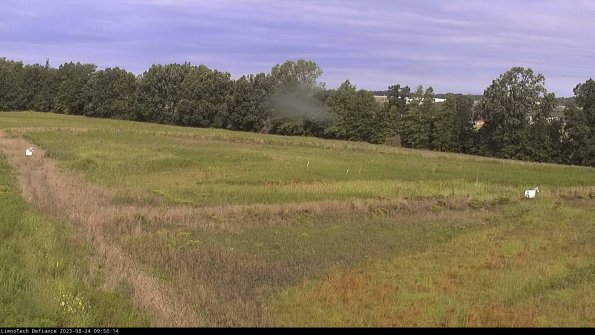 Cell 2_23-08-24_09-50-14-96