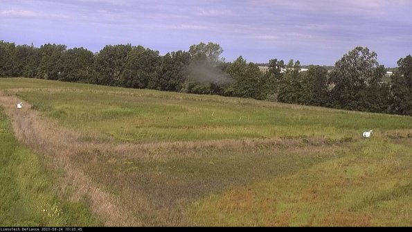 Cell 2_23-08-24_10-23-45-88