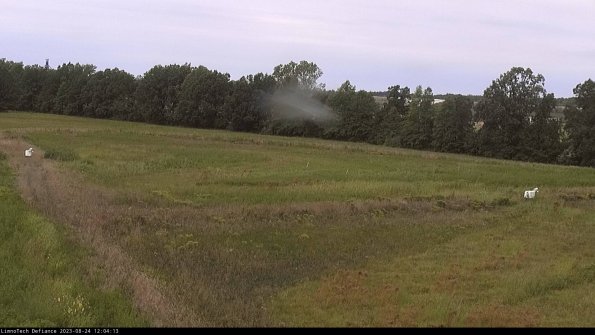 Cell 2_23-08-24_12-04-13-91