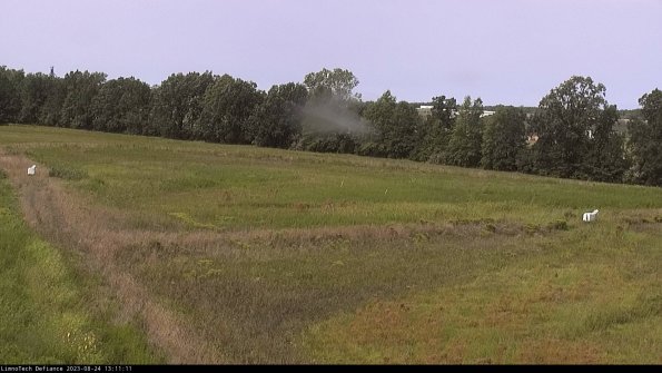 Cell 2_23-08-24_13-11-11-95