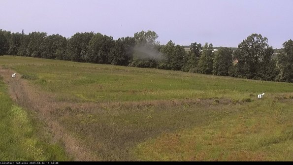 Cell 2_23-08-24_13-44-40-90