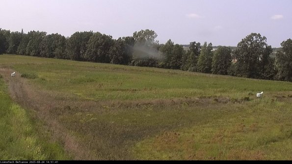 Cell 2_23-08-24_14-51-41-91