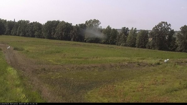 Cell 2_23-08-24_15-25-10-89