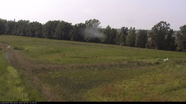 Cell 2_23-08-24_15-58-41-88