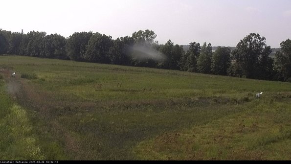 Cell 2_23-08-24_16-32-10-90